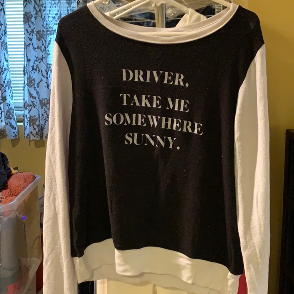 wildfox jumper